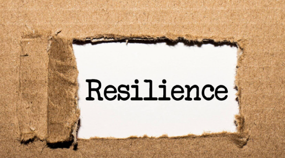 Resilience